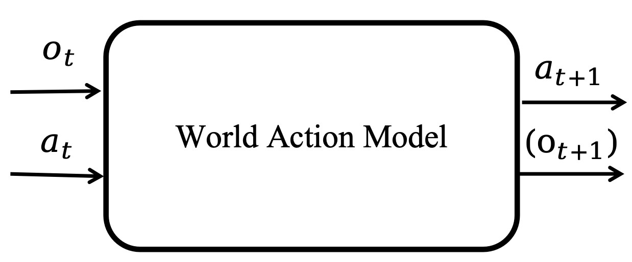 A world action model predicts future actions and optionally future observations from the current observation and current action.
